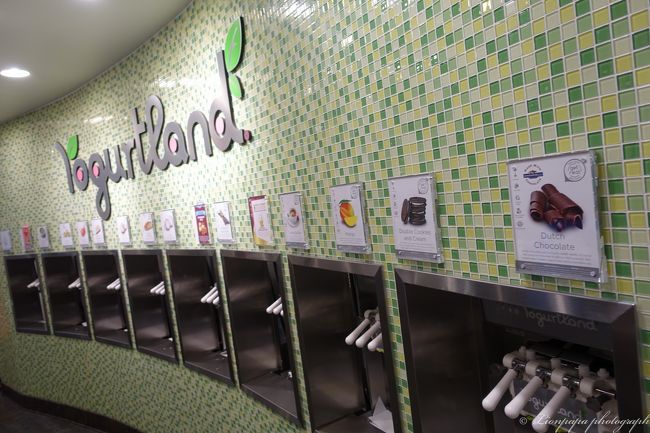 これもホテルの１Fにある<br />ヨーグルトランド ワイキキビーチ店<br />最初にカップの大きさを選んで<br />好きなソフトを入れたいだけ入れるだけ。