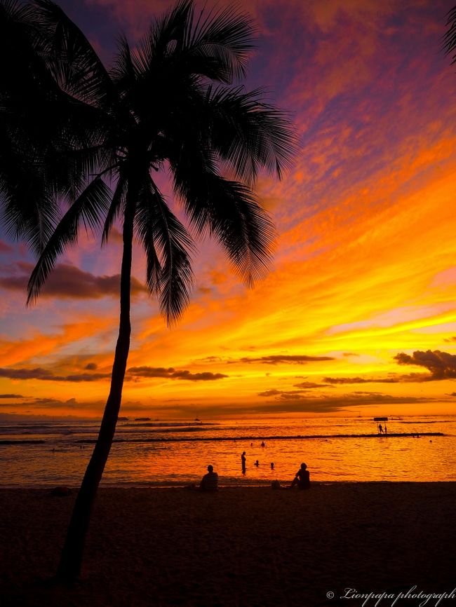 今度は家族全員で来たいと思います。