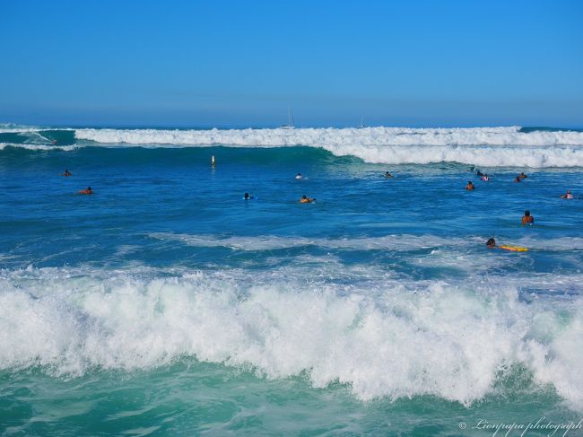 波が高く白波がたっています。