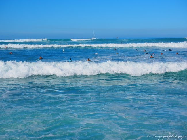 サーファーだらけ。<br />こんな光景初めてみました。