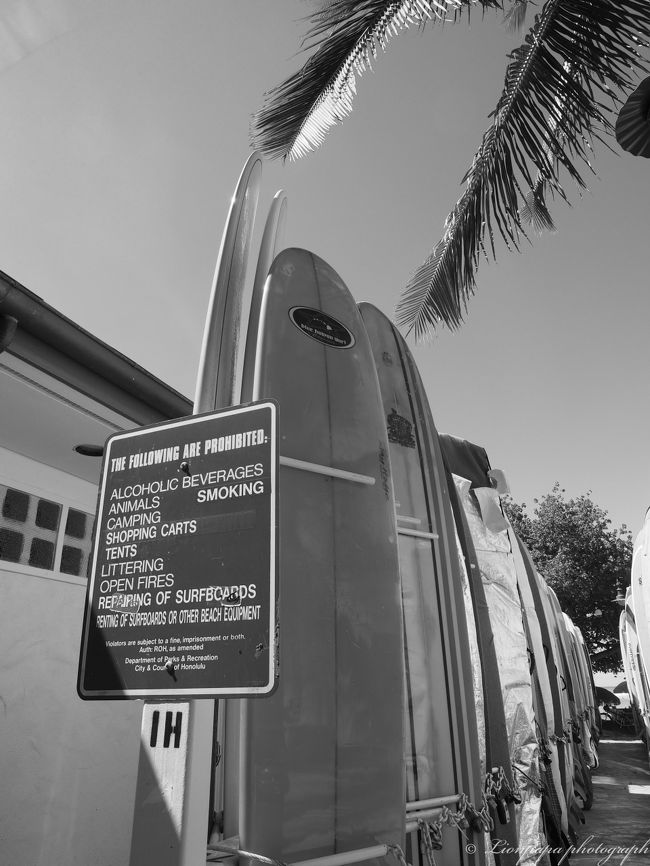 たくさん並んでます。