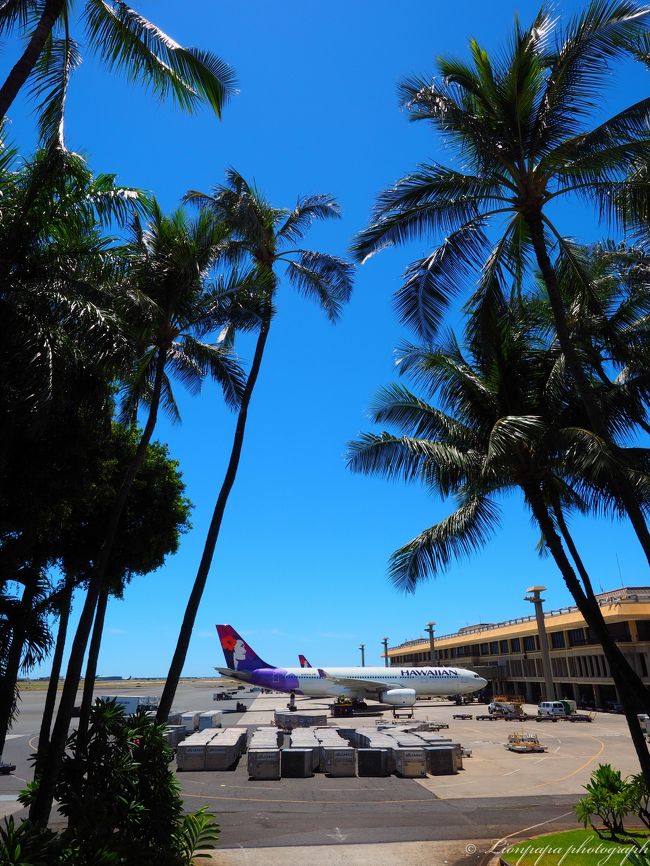 一人ブラブラします。