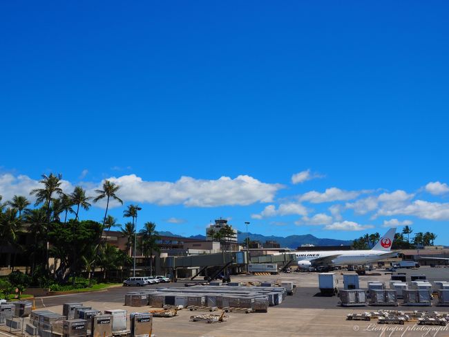 JALさん帰りもよろしくお願いします。