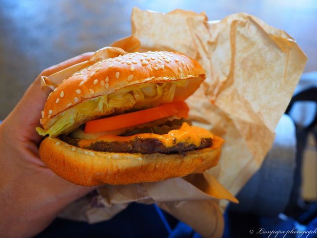 今までのアメリカ旅行はハンバーガーをたくさん食べてました。<br />今回はまだ１回しか食べてません。<br />何となく心残りで、最後にバーガーキングのハンバーガーを注文<br />でも全部食べれませんでした。<br />やっぱり年かなぁ〜昔だったら平気で食べてたのに。