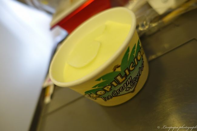 アイスまで出てきました。<br />この後少し仮眠。