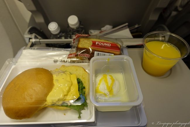 成田に着く数時間まえ<br />軽食です。