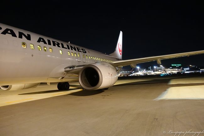 バスで移動し機内へ乗り込みます。<br />JL ６１４１便　成田ー福岡