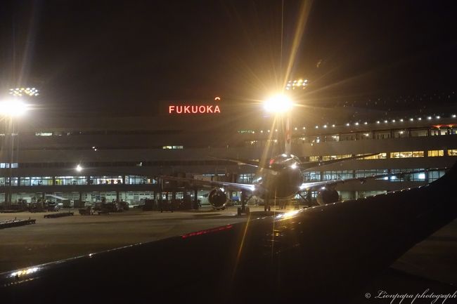 長い一人旅が終わりました。<br />仕事もあり、観光もできリフレッシュできました。<br /><br />次回のハワイは絶対に家族旅行で行く。いつになるのかな〜<br />そのいつの日かを夢みて、明日からまた仕事です。頑張るぞ〜！