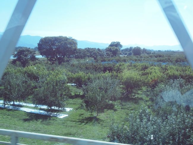 おばさま達の詰め放題への情熱に感動しながら車窓を眺めます〜。