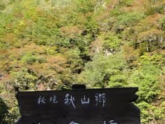新潟県と長野県の境に近い、中津川にかかる前倉橋です。
この辺りは中津川渓谷と呼ばれ、川の両側に切り立った崖に美しい紅葉見ることができます。