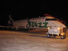 イエローナイフ空港 (YZF)