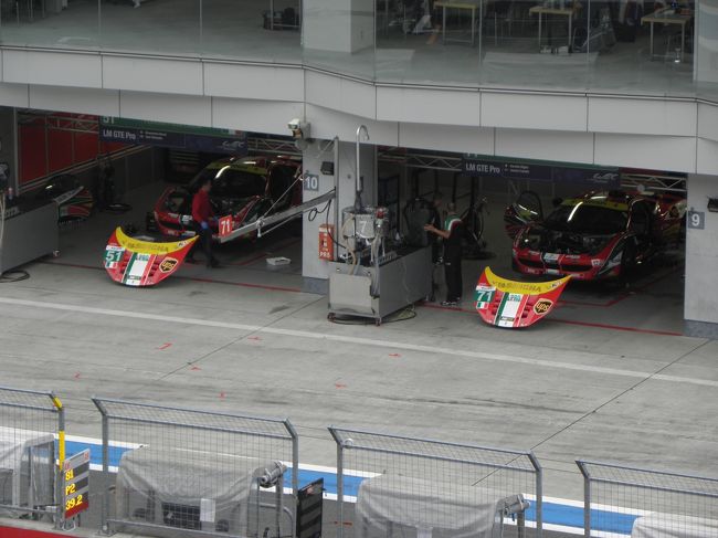 ＬＭＧＴＥプロ・クラスのフェラーリ２台。<br /><br />ＧＴカー・クラスは、日本のスーパーＧＴのＧＴ３００クラスと似ていて親しみやすいですね。