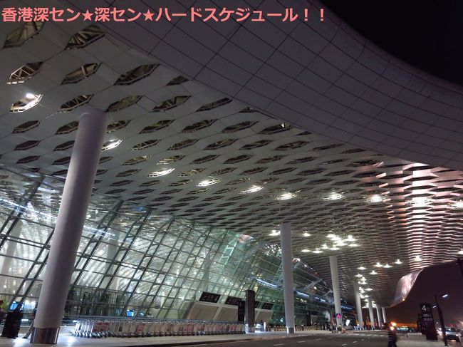 5時35分、空港に到着！<br /><br />私、元気すぎ。