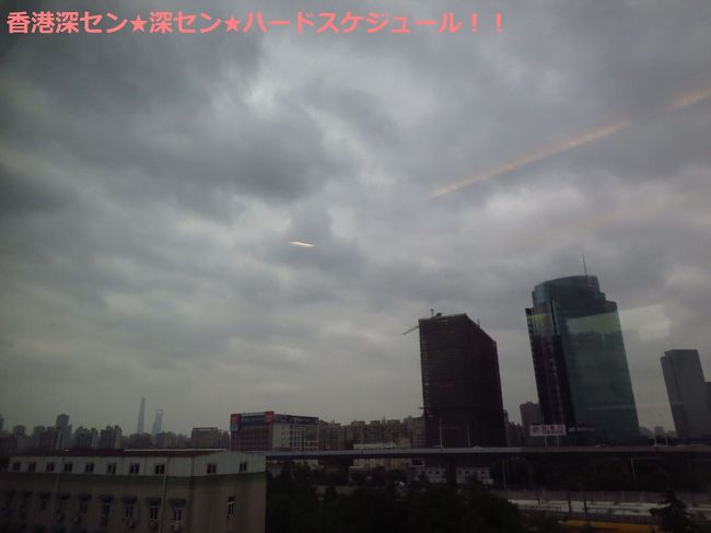 どんよりの上海。雨は降っていませんでしたが、風がものすごく強くて寒かったです。