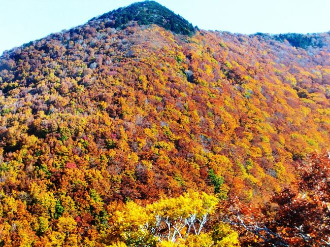 ゴンドラに乗って岩木山の紅葉 弘前 青森県 の旅行記 ブログ By エクシリムさん フォートラベル ゴンドラに乗って岩木山の紅葉 弘前 青森県 の旅行記 ブログ By エクシリムさん フォートラベル