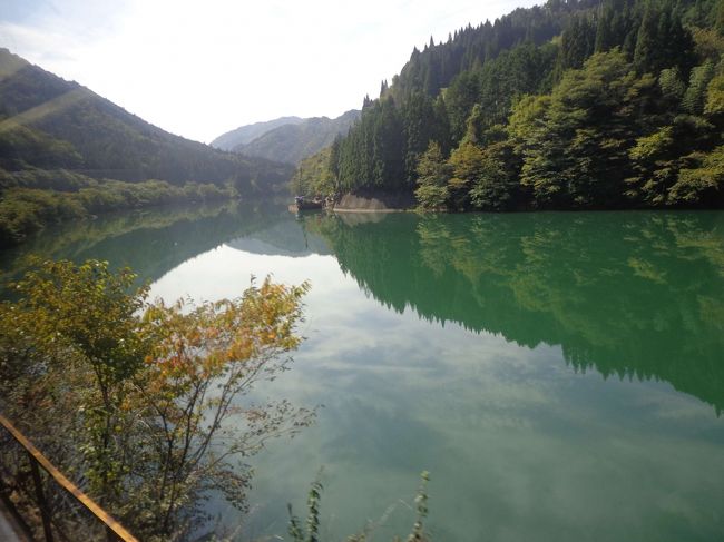 シャッターチャンスさえぴったり合えば（笑）、こんな美しい写真も撮れちゃいます。