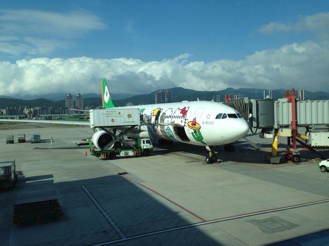 バイバイ台湾\(^o^)／またね！