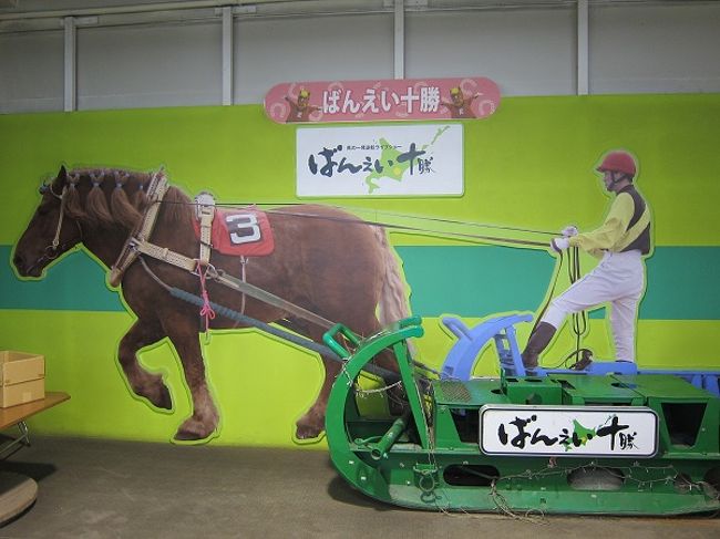 レースを楽しんだ後、競馬場の中をうろうろ。<br />ソリに乗って一緒に写真が撮れるパネルを発見。