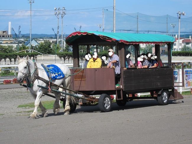 場内で馬車の乗車体験イベントをやっていました。<br />車を引いている白い馬は「ミルキー」。上手にカーブをまがることができる、かしこいお馬さんでした。