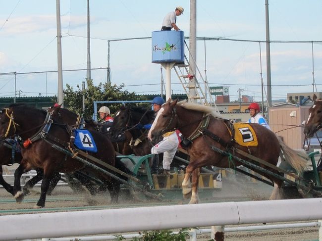 レーススタート！<br />重い荷物をひく馬の力強さを間近で感じることができました。