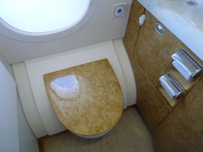 トイレも写真に