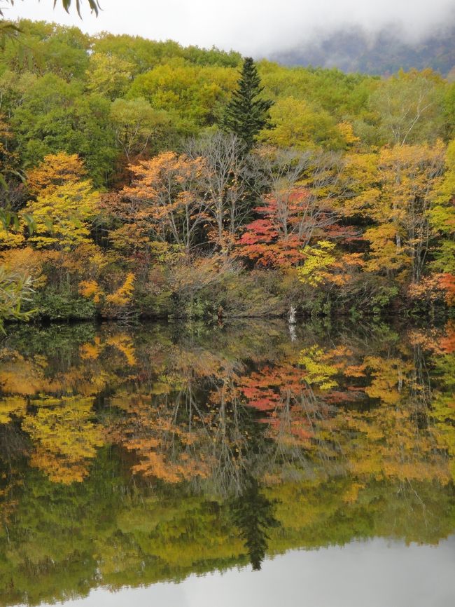 戸隠高原にある最高の紅葉スポット「鏡池」。その名の通り、紅葉