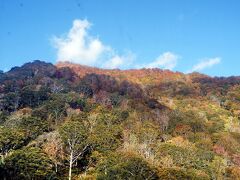 ロープウェイの全長は2,300ｍ、746ｍの土合口駅から1,319ｍの天神平駅まで、一気に上がります。