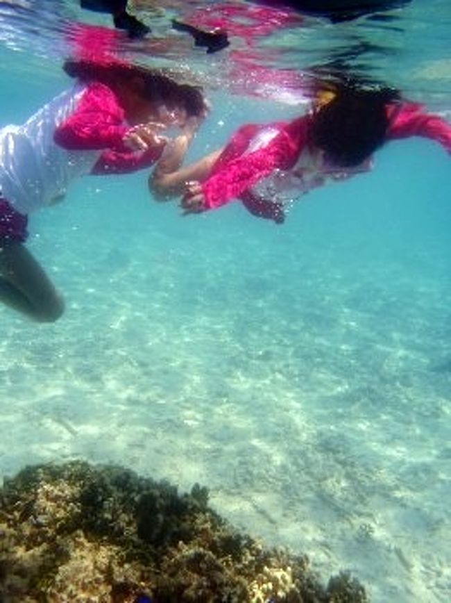 水納島はお魚天国