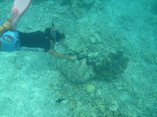 世界遺産「ロックアイランド群と南ラグーン」のパラオに行きました~4日目