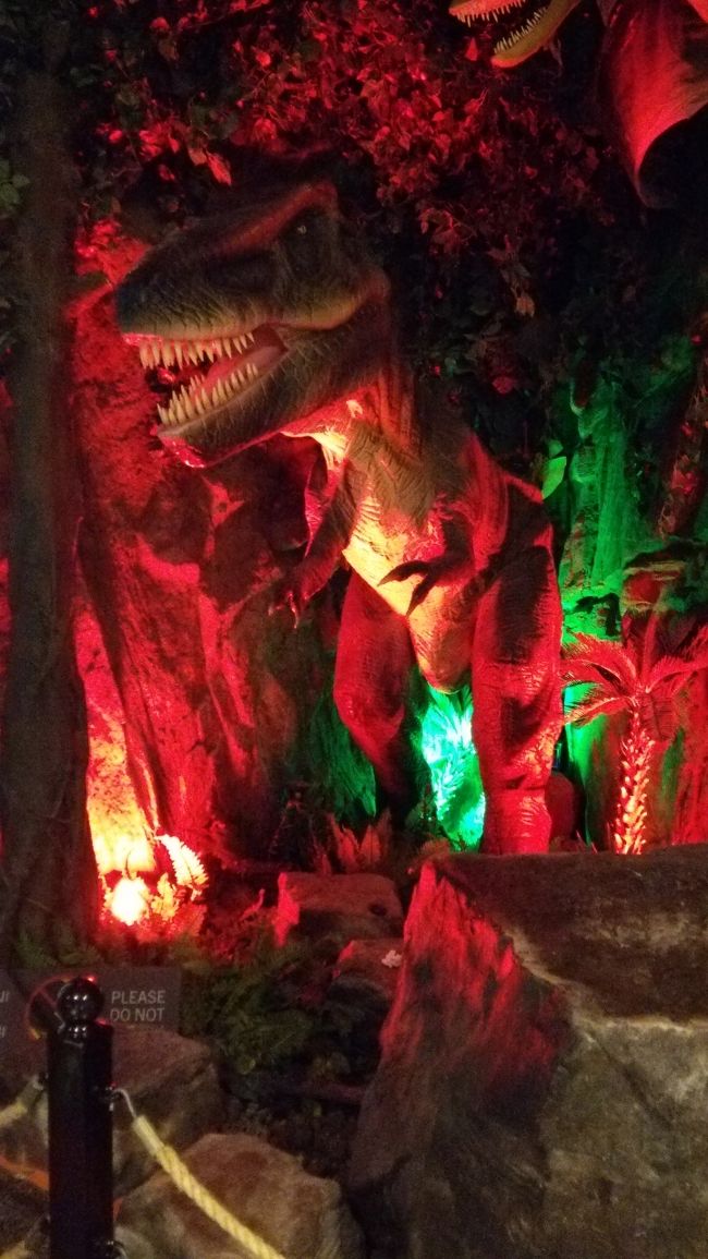 10月10日金曜日は仕事に行き、定時になったらすぐ帰ろうと思っていたのに、まさかの残業。早く帰りたい・・・と思いながらもなかなか帰れず。<br />やっと会社を出てすぐに家へ一度帰り、関空へ。<br />関西空港23：05発のカタール航空でドーハへ。１１時間のフライトです。