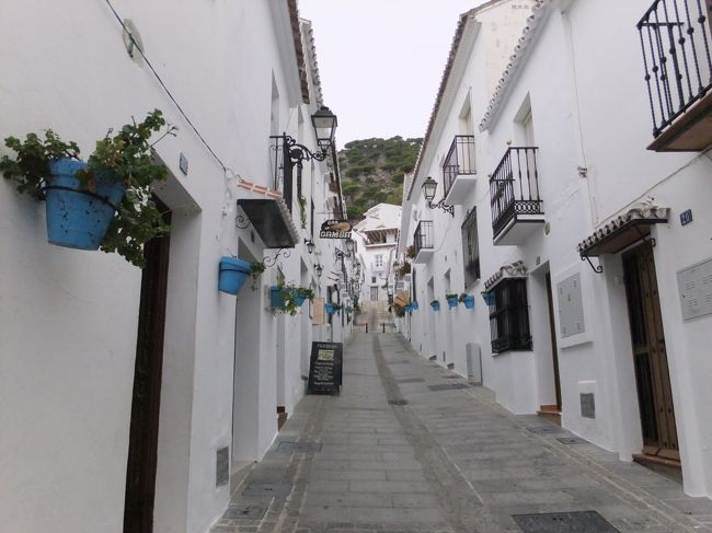 昼食後、トイレ休憩を１度とりながら、ミハスへ移動します。約３時間弱かかります。<br />この度でバルセロナとミハスは一番行きたかった場所なので、とてもこの日を待ち望んでました。１時間半の自由時間しかないので、名所を先におさえつつ、買い物もしないといけないし、景色も見て回りたいしで忙しいです。どこを見てもかわいく、雑貨やオリーブオイルが入っている容器もかわいく、お土産が増えますね。