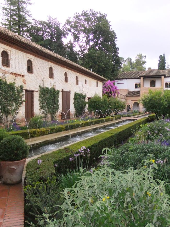お隣のヘネラリーフェ庭園へ。すごく広い敷地です。とても手入れが行き届いていて、お花や噴水がきれいでした。花がもっと満開な時期なら、感動も倍だろうなぁ。