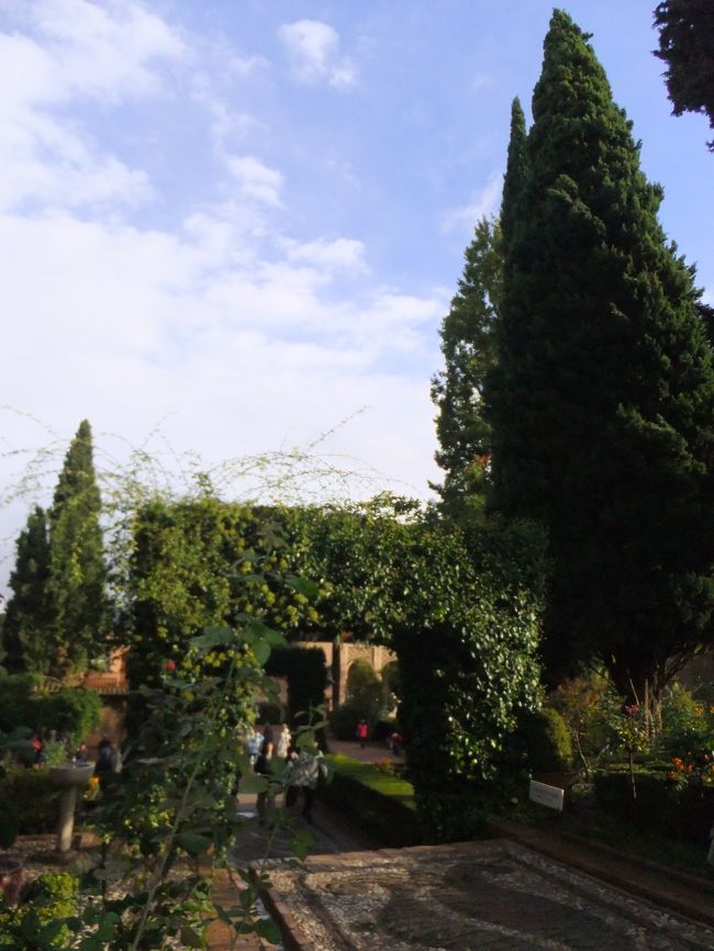 でも、本当美しい庭園でした。<br />この後昼食を食べて、バレンシアまでの長距離移動です。２回トイレ休憩とりましたが、約７時間かかりました。さすがに、疲れました〜<br />ホテルのレストランで夕食をとり、隣のカルフールで買い物し、この日はぐっすり寝ました。