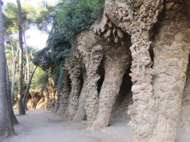 グエル公園を１時間くらい見て回り、再度タクシーでランブラス通りへ向かいました。時間がないので、今回はほぼタクシーを利用。ツアーで仲良くなった方たちと４人で行ったので、そんなに料金も高くなくすみました。