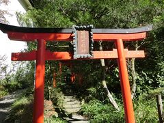 ・・・<箱根七福神>・・・

「箱根七福神」があります。

[由　緒]         

「恵比寿神は、商売繁昌、大漁満足（航海）の神、愛敬富財の福徳が授かる神ですが、弁財天や第六天社もまた福徳円満、商売繁昌の神と崇敬されています。

　箱根神社は、古来関東における山岳信仰の霊場で山紫水明、風光明眉な箱根山の根源主宰神として奈良時代の末、天平宝字元年（七五七）萬巻上人により、現在地に 奉遷鎮齋  ほうせんちんさい    されました。爾来当神社は、佛教とりわけ 修験  しゅげん    道  どう    の 集合  しゅうごう    、影響が強く、箱根山に入峰修練する山伏等が崇敬、 跪拝  きはい    しましたが、その境外末社に祀る 九頭龍明神  くずりゅうみょうじん    や 蓑笠明神  みのかさみょうじん    、堂島弁財天や第六天社もまた、特に信仰しました。

　これらの神社は明治維新以来の神祇制度の変革（神佛分離、修験道の廃止等）により、秘かにおまつりされてきました。近年漸く九頭龍神社が整備され、祭祀の興隆が著についたのを契機に、これら神社の復興が謁望される裡に今般、社頭整備の一環として御社殿を建立し、以って右二神を各々奉齋して御神徳の宣揚を期すことになりました。

　因みに弁財天社はかつて堂ヶ島に、恵比寿神は箱根町の蓑笠明神社に、第六天社は元箱根にそれぞれ鎮祭されていましたが、時遷り世変り今日では僅かにその名残りを留めるのみで、これが祭祀の復興がまたれていたものです。」

とのこと。