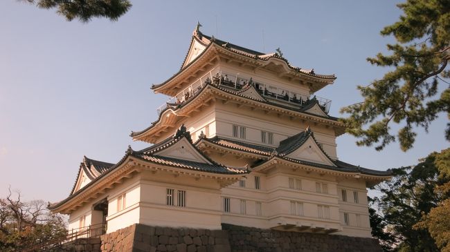 小田原城。<br />思ったより広かったです。<br />