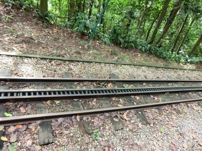 登山電車の線路