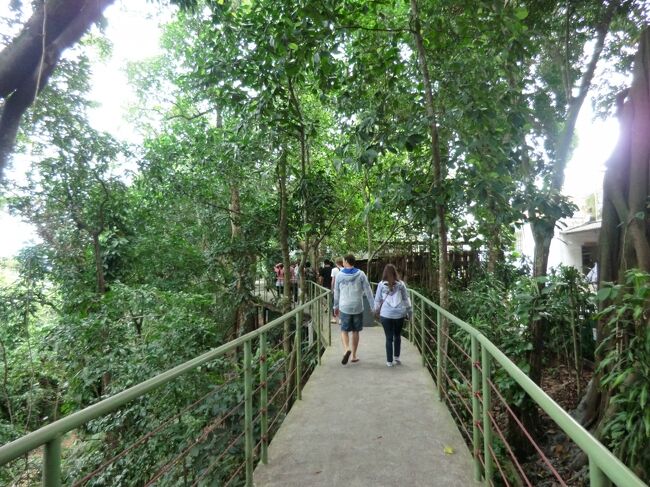 戻りは第2ロ−プウェイをウルカの丘で下りて第1ロ-プウェイ乗り場まで木立の中を移動<br />ウルカの丘はヘリコプタ−の発着所がありリオの街の遊覧飛行の申し込みが出来ます