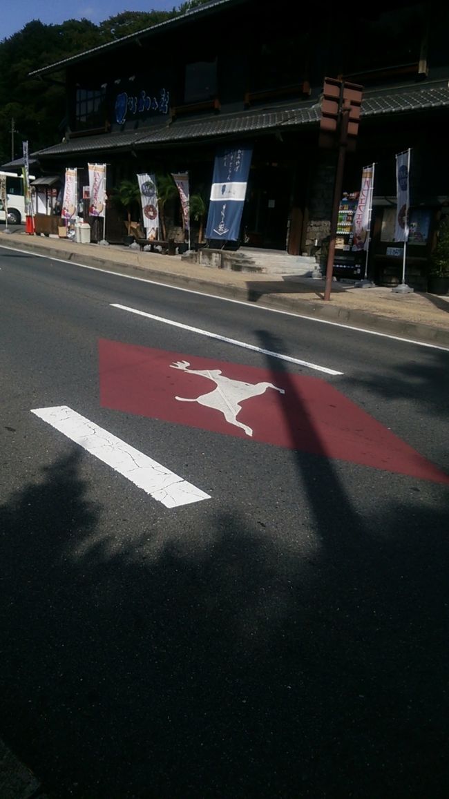 カフェを出たら奈良公園へ向かいます。<br />鹿がとび出すらしい。