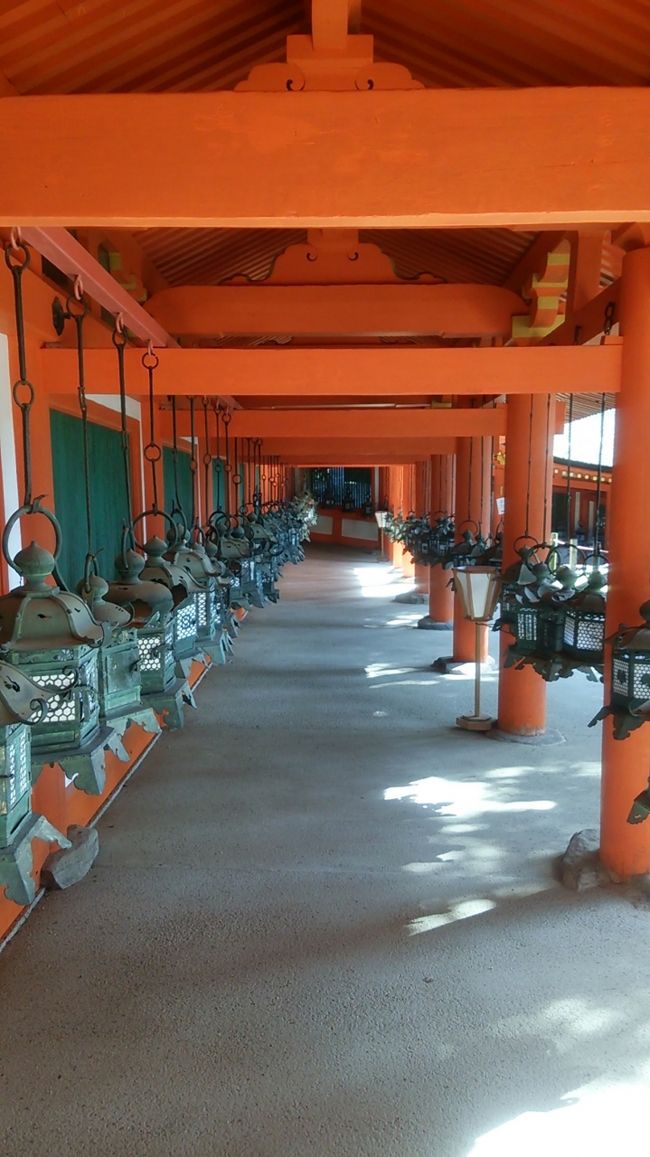 奈良公園を抜けるとやっと春日大社に到着。かなり歩きました。