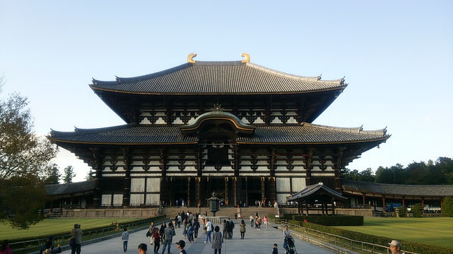 続いて大仏様のいる大仏殿へ。春日大社からは歩いて20分くらいかな？