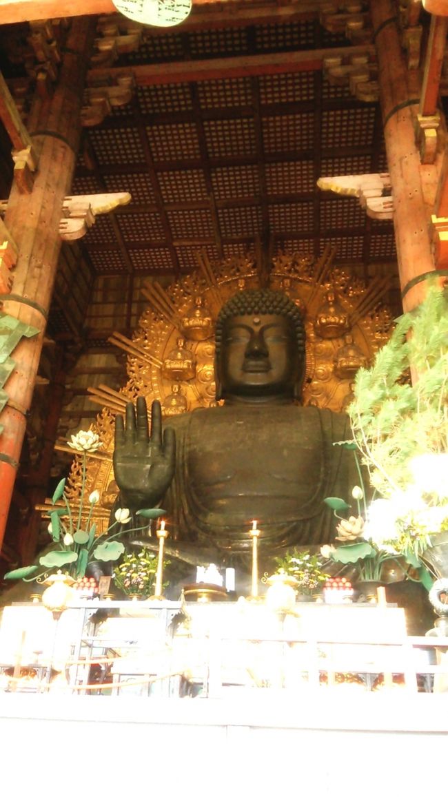 やっとお会いできましたね。<br />大仏様。<br />かなりの大きさにビックリです。