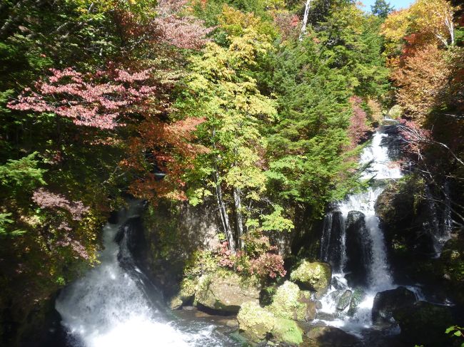 滝も見事、意外なことに紅葉も始まっていて感動。