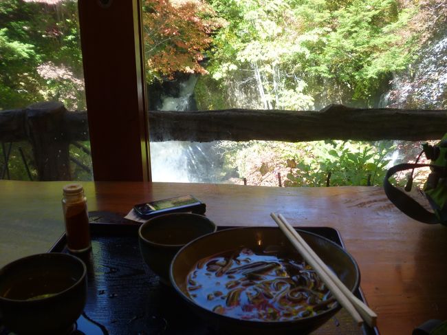 竜頭の茶屋で、早い御昼ごはん（山菜そばですが）。滝を見ながらの食事です。竜頭の滝は好きな滝の一つですが、滝上の道路を車で通過しながら眺めることが多くて、ゆっくり見た記憶がない。やっとゆっくり見られる喜びに浸っています。