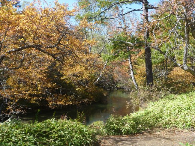 湯川に沿って歩いていきます。熊の目撃情報が多いという注意の立札がたくさん立っています。