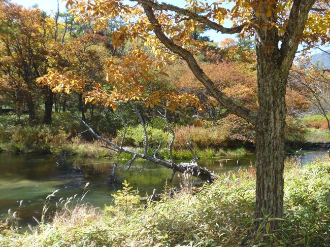 ゆったりと流れる湯川。穏やかな気分になります。
