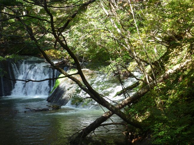 途中にある小滝。