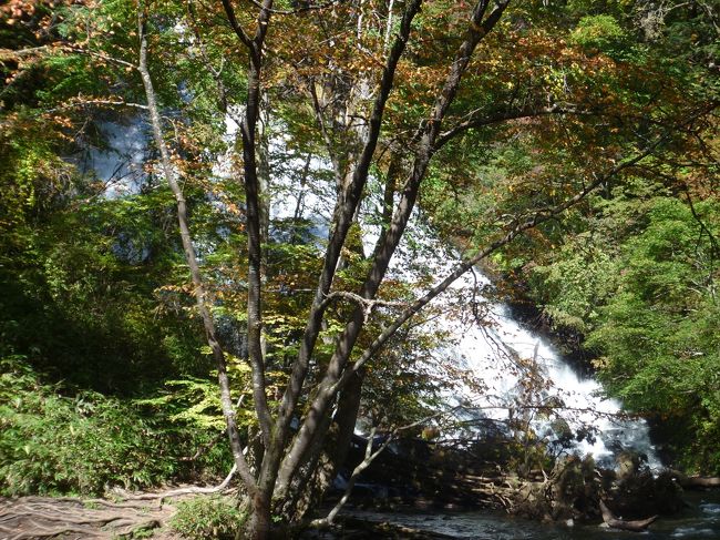 湯滝が見えてきました。