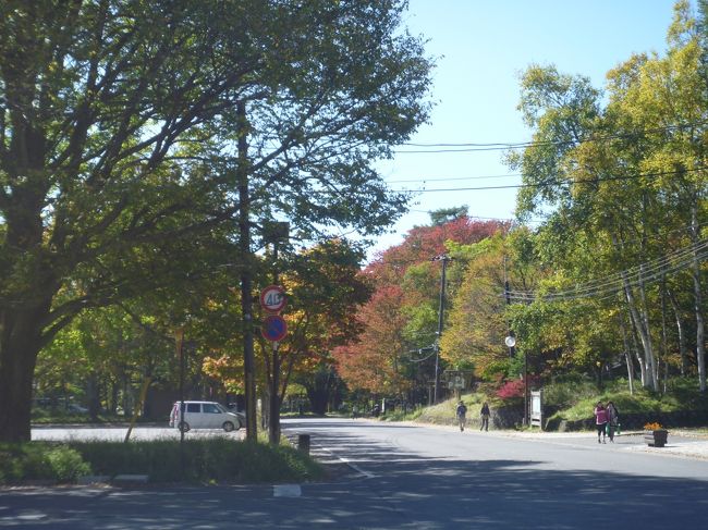 9月30日、バス停に向かう途中白銀荘方面を見た。上り坂なんです。昨日、宿に向かうとき結構きつかったけど、今日は下りなので、楽々。