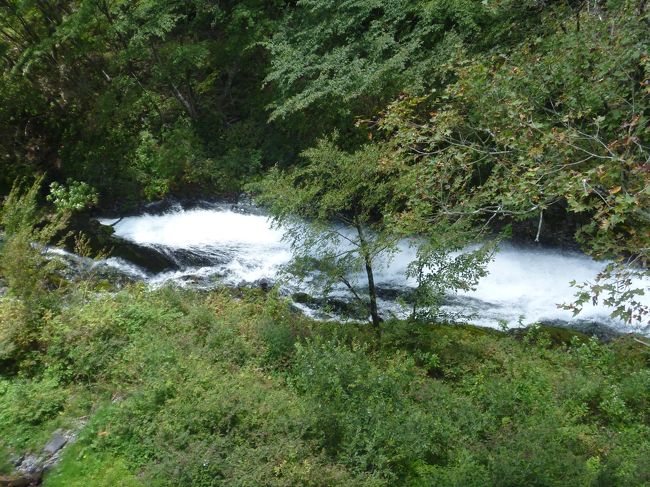 水量豊かです。